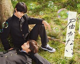 曾道道人爆料免费网站